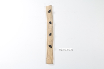 Picture of WILDBRANCH Wine Rack *Solid Teak