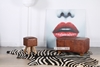 Picture of ZEBRA Mat/Carpet * Genuine Cowhide