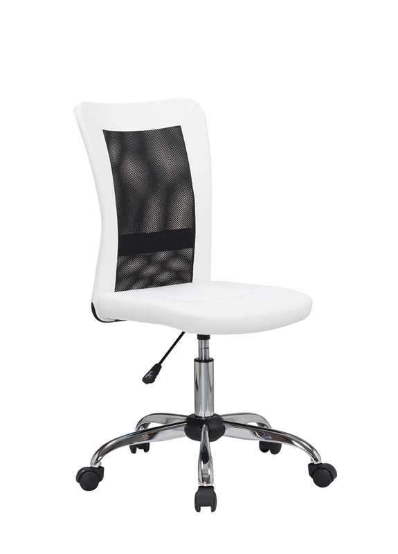 Picture of Snowfall Mesh Office Chair