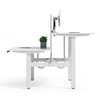 Picture of UP1 BACK-TO-BACK DUAL ADJUSTABLE DESK SYSTEM