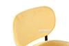 Picture of PUGSLEY LOUNGE CHAIR* VELVET