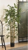 Picture of Nearly Natural Bamboo Silk Tree