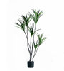 Picture of Faux Dracaena Plant